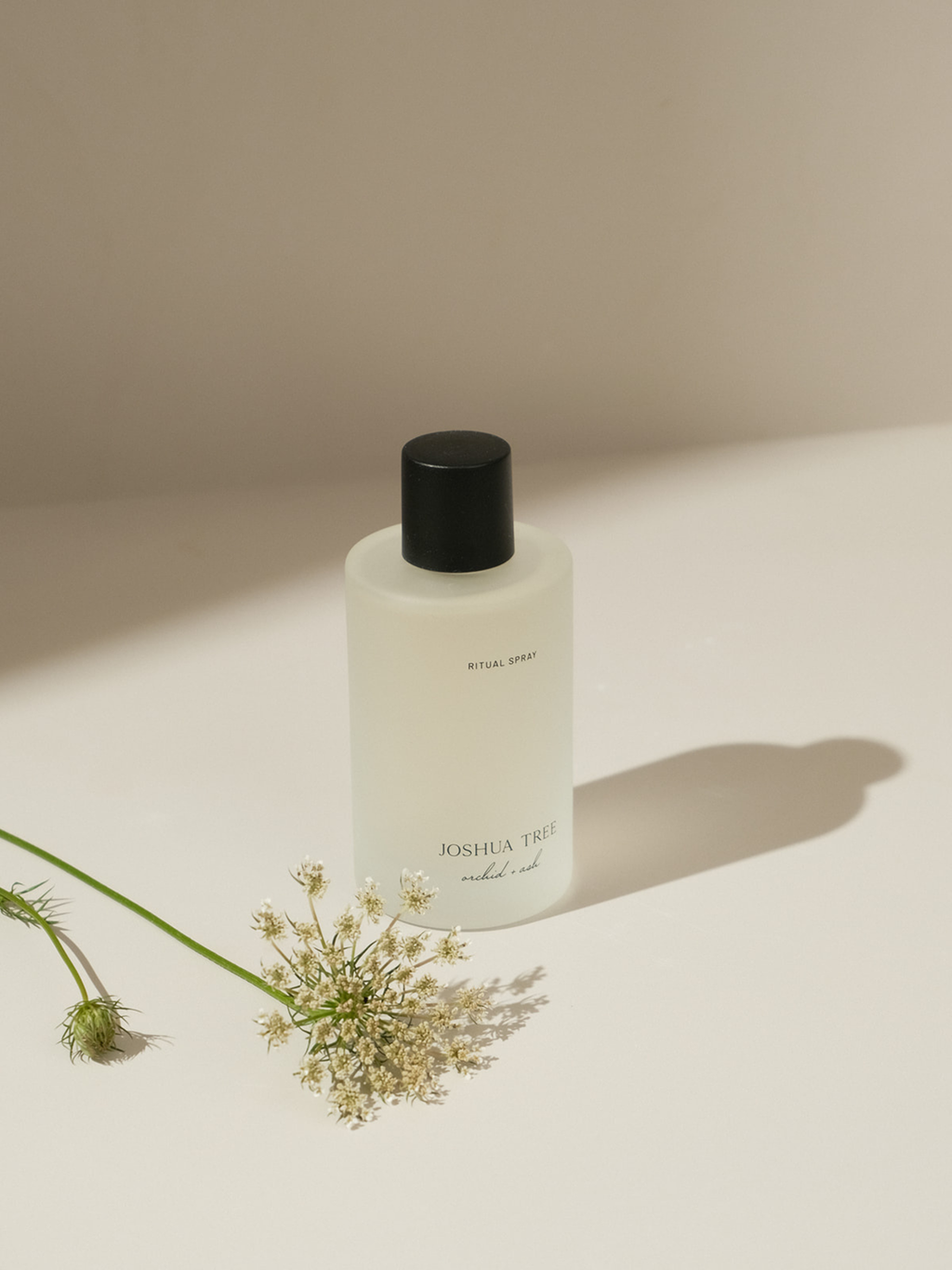 Palo Santo + Sage | JOSHUA TREE Natural Ritual Spray